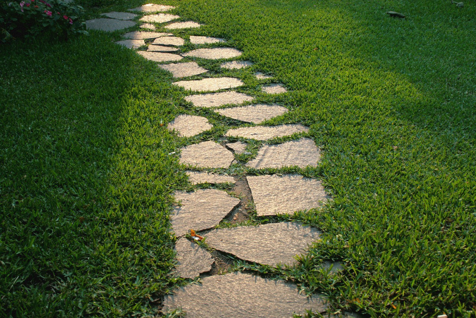Bordure de pelouse nette le long d'une allée de jardin