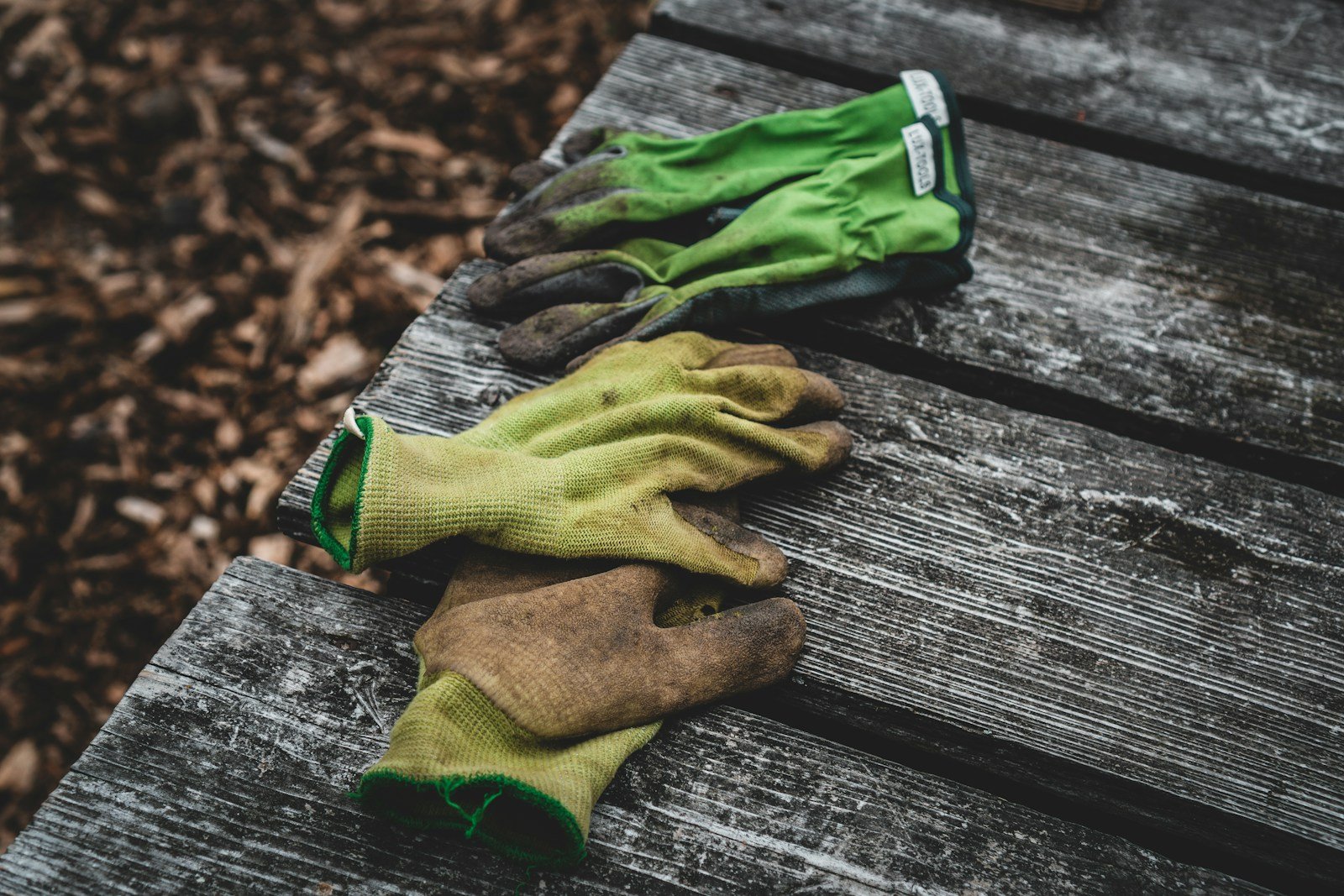 Jardinier équipé de lunettes et de gants avant un entretien d'outil